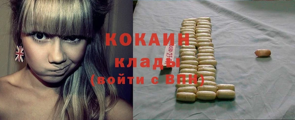 индика Заволжск