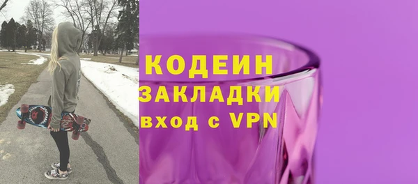 индика Заволжск