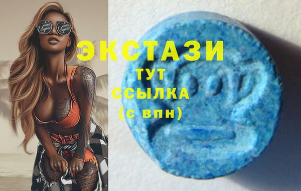 индика Заволжск