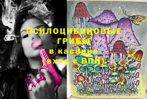 дживик Тында
