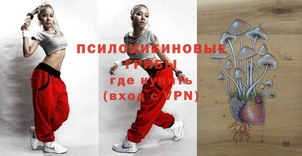 гашиш Заводоуковск