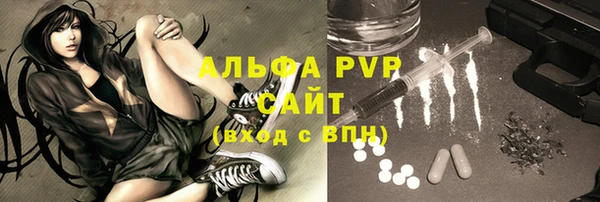 индика Заволжск